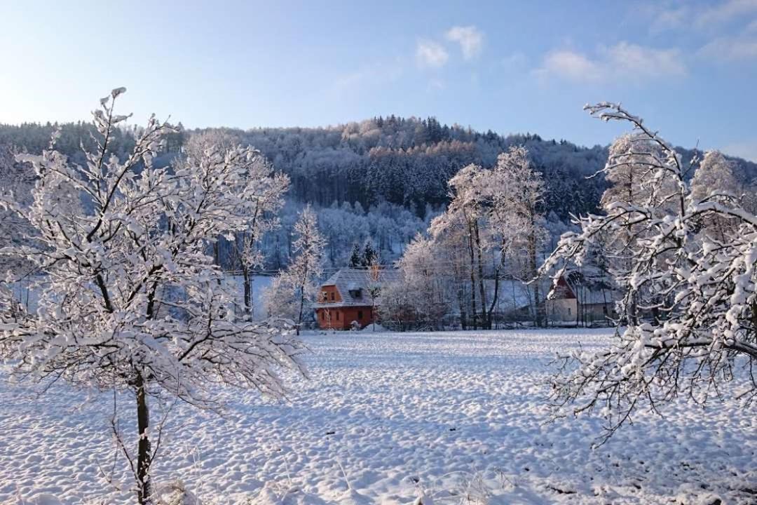 Roubenka Pod Capim Vrchem Villa Velke Losiny Exterior photo